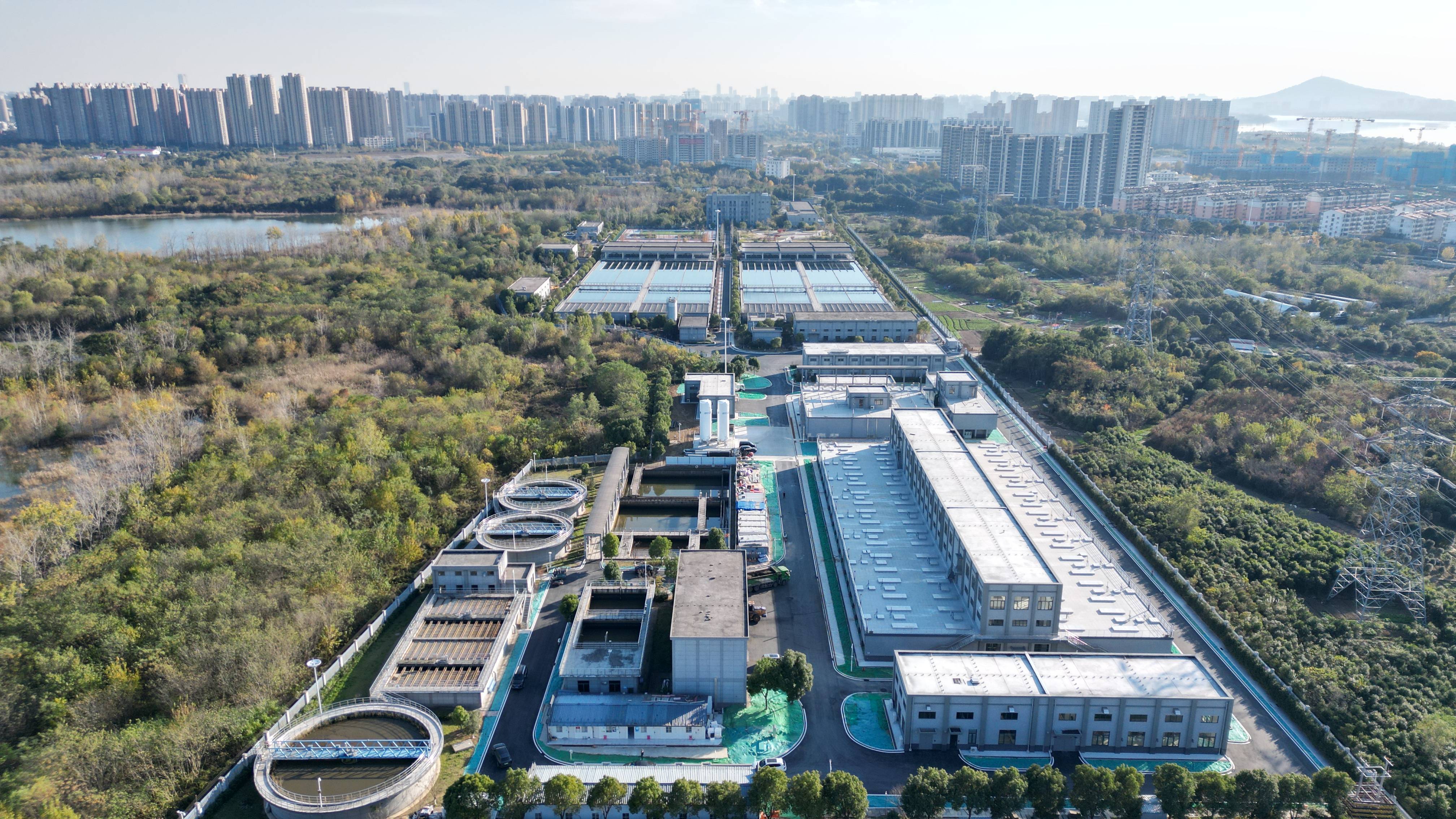 伊春市合肥专业企业价值增长(合肥市重点企业产业目录)