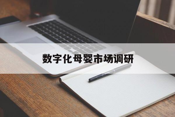伊春市数字化母婴市场调研(数字化母婴市场调研报告)